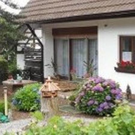 Pension Haus Monika Sasbachwalden Buitenkant foto